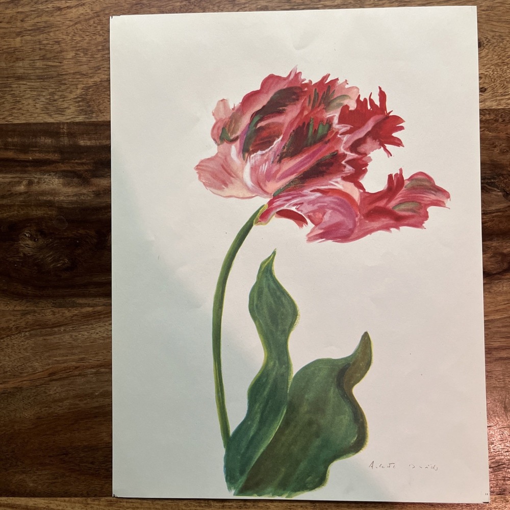 Vintage 1940s Arlette Davids Spring Flowers Fantasy Parrot Tulip Print #11